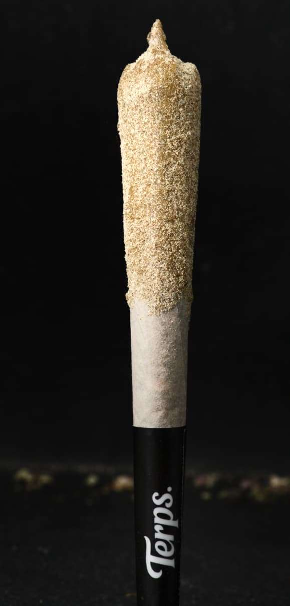 Terps Premium Indoor Moonstick 0 5g Essential 420 terps-premium-indoor-moonstick-0-5g-essential-420